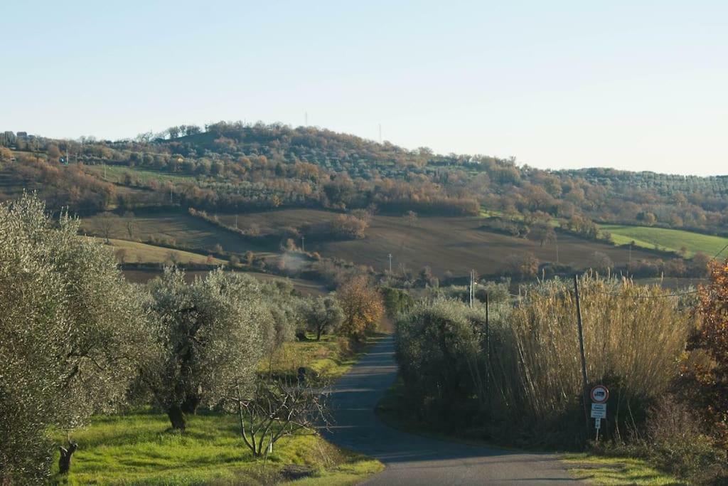 Le Casette Country House 2 Petricci المظهر الخارجي الصورة
