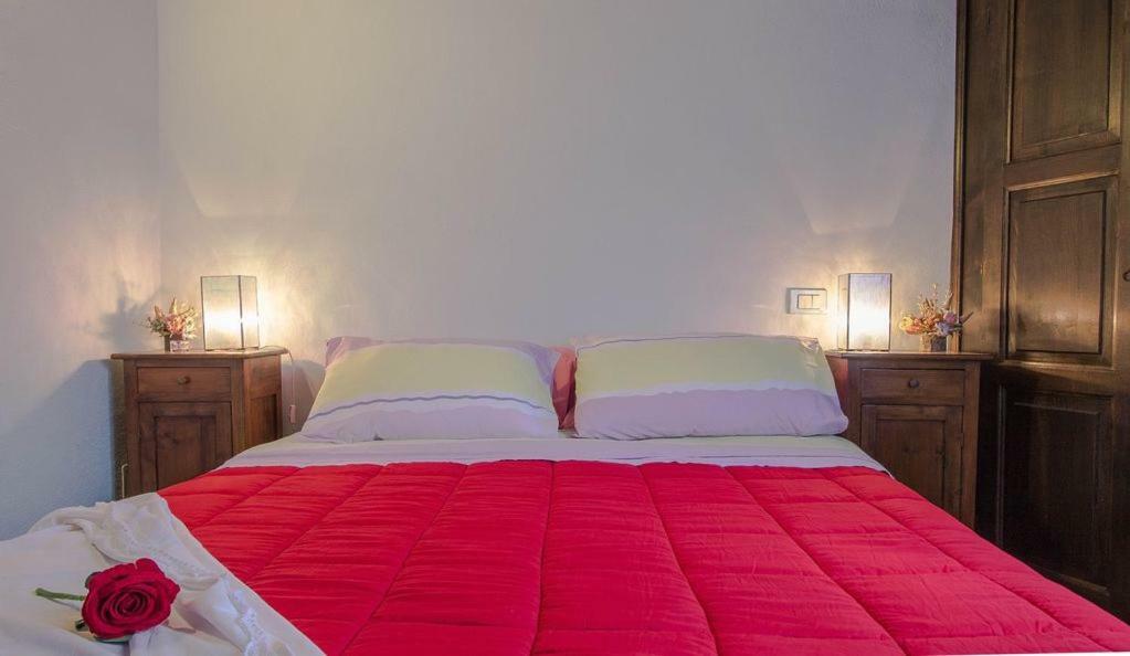 Le Casette Country House 2 Petricci المظهر الخارجي الصورة